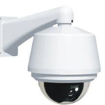 SONY 36X Outdoor High Speed WDR PTZ Dome 540TVL