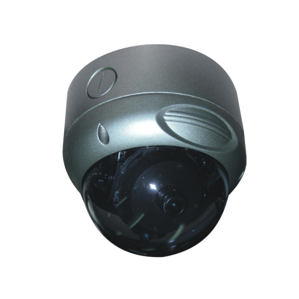 Austar 1.3 Megapixel IP66 Outdoor IP Dome Camera, 1/3, POE